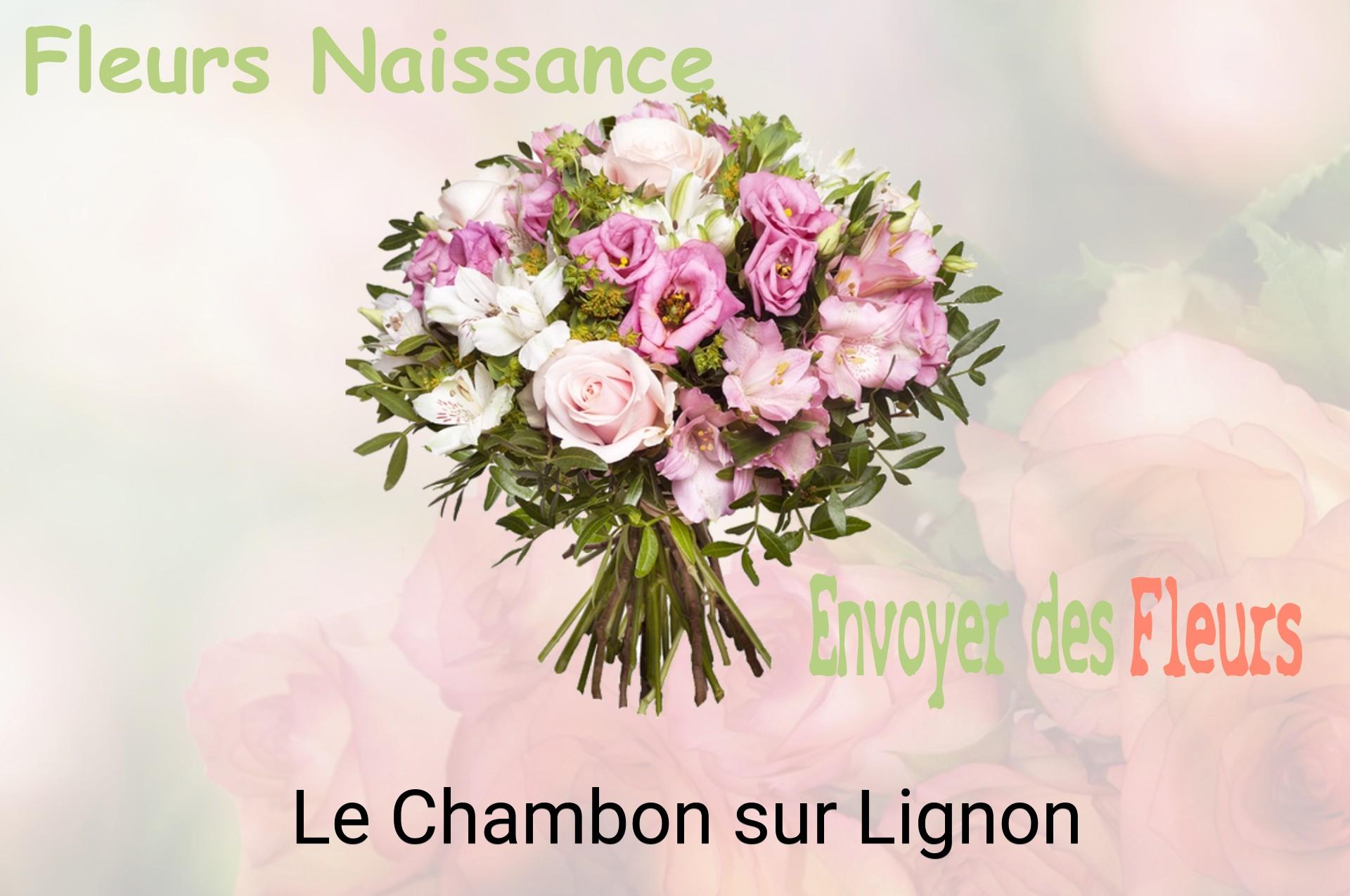 Bouquet de fleurs de naissance livré à Le Chambon-sur-Lignon